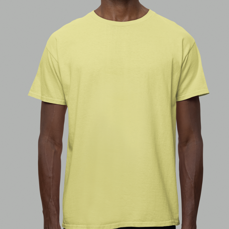 AR&B Round Neck Half Sleeve Regular Fit T-Shirt - Pale Yellow, Maroon